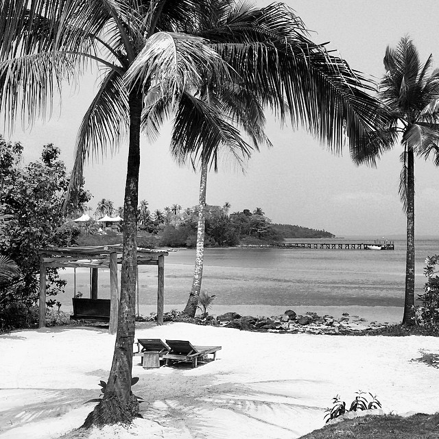 คริส หอวัง