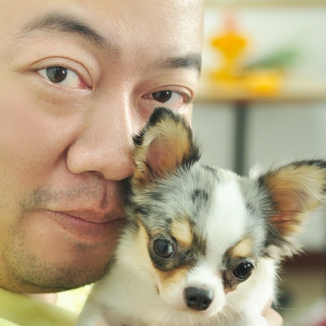 โกโก้ นิรุณ