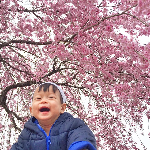 มาริษา ฮอร์น ญี่ปุ่น