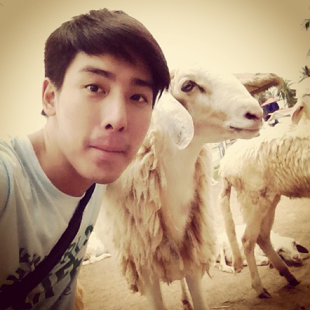 เพชร ปรัชญ์ ปรมิณ ประวัติ