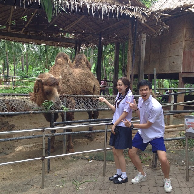 แต้ว ณฐพร ต้น อาชว์