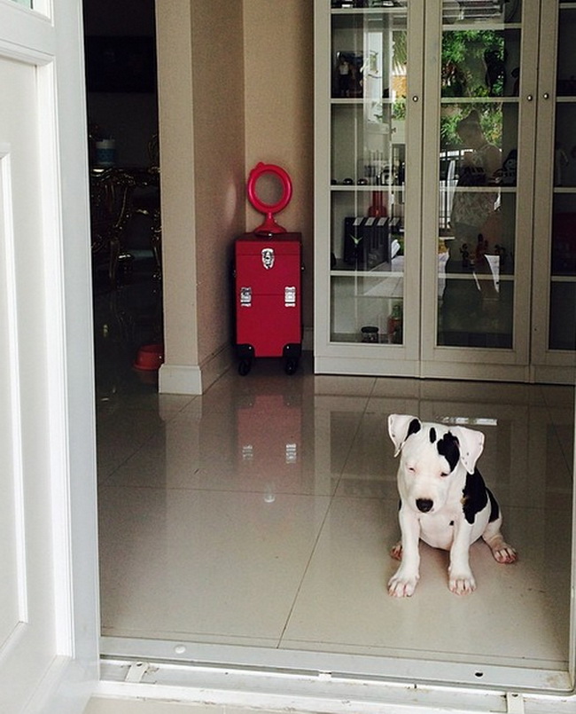 ส่องบ้าน ตุ๊กกี้ บูบู้