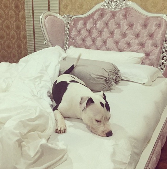 ส่องบ้าน ตุ๊กกี้ บูบู้