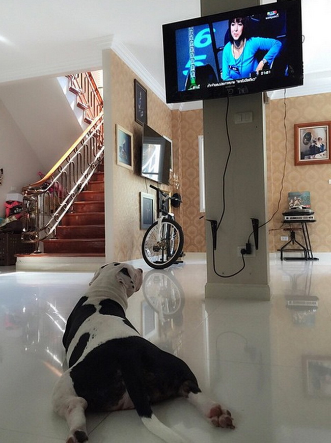 ส่องบ้าน ตุ๊กกี้ บูบู้