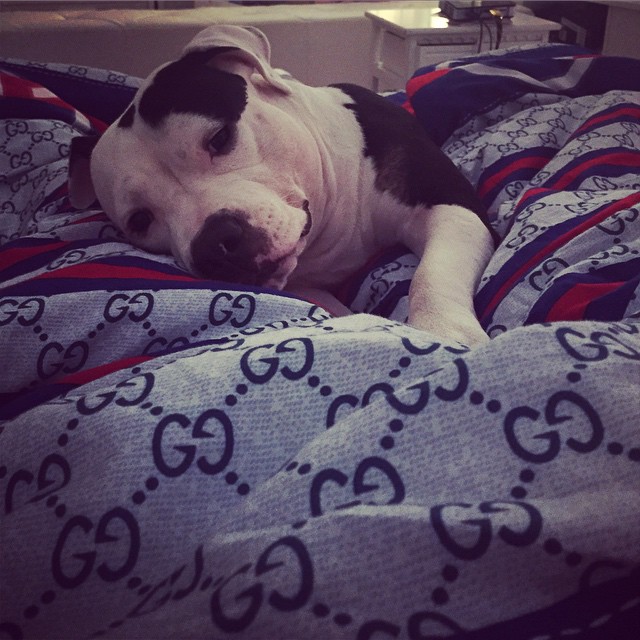 ส่องบ้าน ตุ๊กกี้ บูบู้