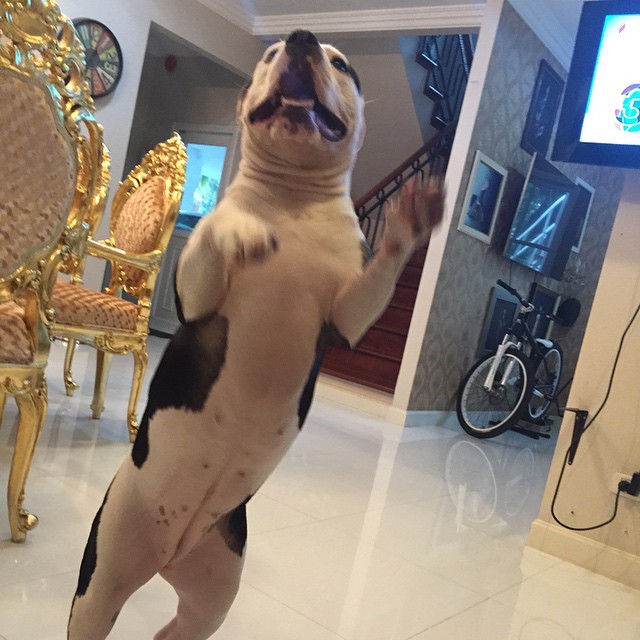 ส่องบ้าน ตุ๊กกี้ บูบู้