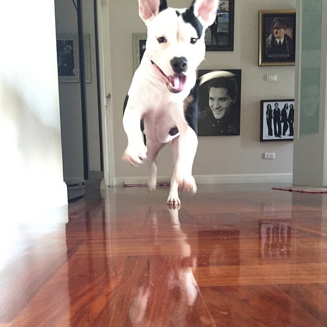 ส่องบ้าน ตุ๊กกี้ บูบู้