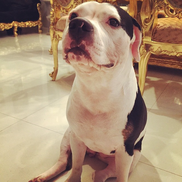 ส่องบ้าน ตุ๊กกี้ บูบู้