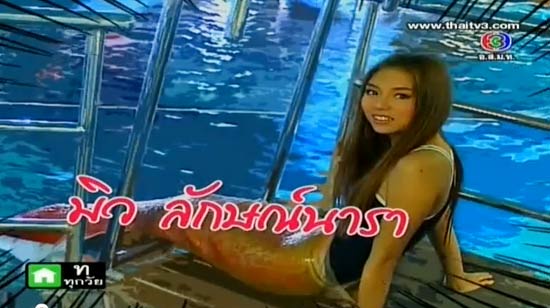 ตีท้ายครัว - รักนี้หัวใจมีครีบ