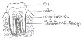 นิทาน