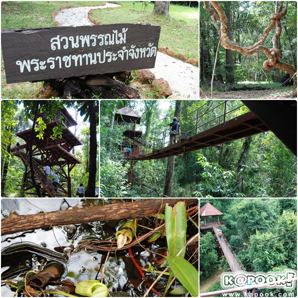 จังหวัดตรัง