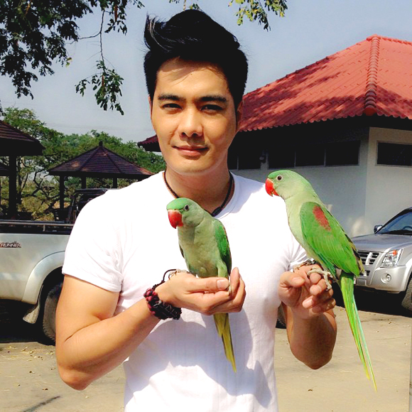 เคลลี่ ถอนฟ้องพ่อกรีน