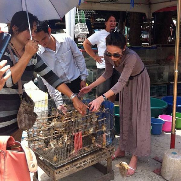 อั้ม พัชราภา น้องสตางค์