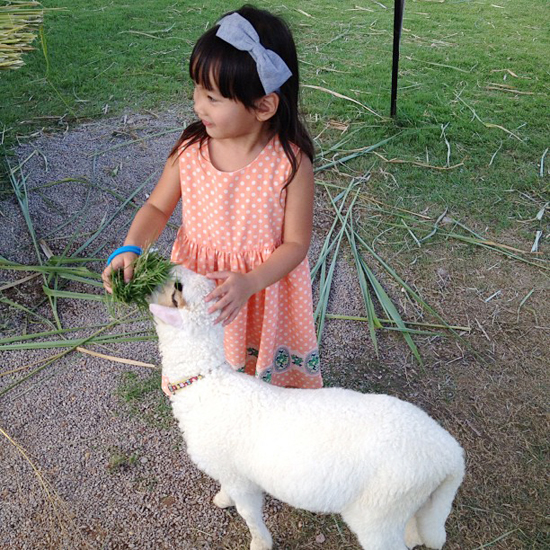 น้องแพรว ลูก ตุ๊ก ชนกวนันท์ 