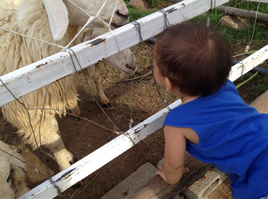 น้องภูมิ ลูก ตุ๊ก ชนกวนันท์ 