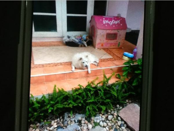 โอ๋ ภัคจีรา