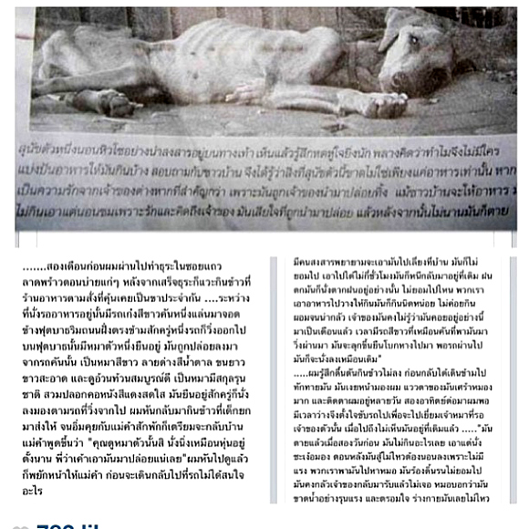 ข่าวอั้ม พัชราภา