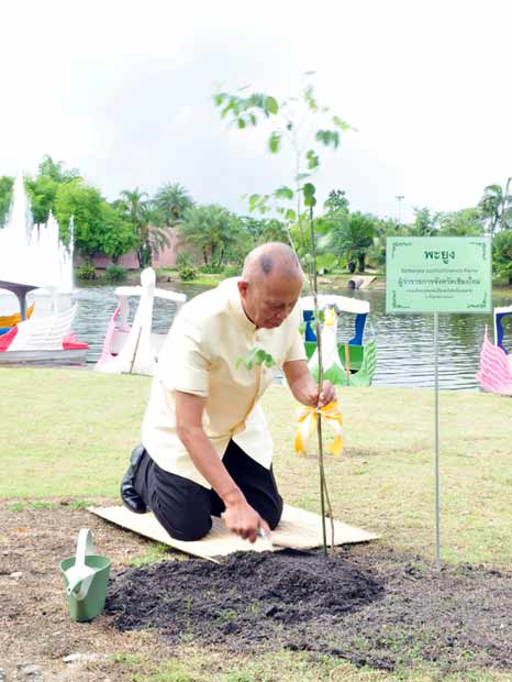 งานมหัศจรรย์พรรณไม้และวันต้นไม้แห่งชาติ