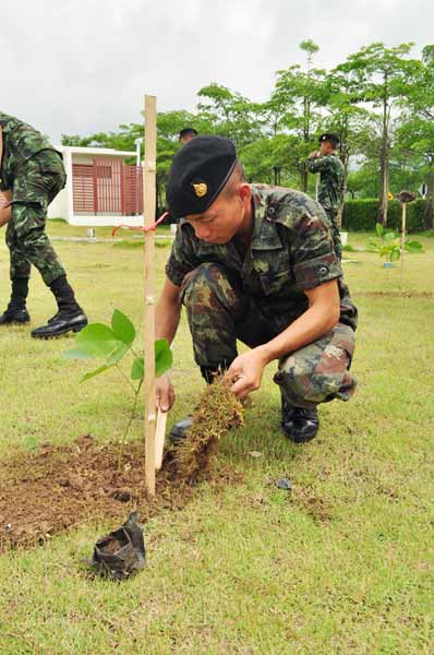 งานมหัศจรรย์พรรณไม้และวันต้นไม้แห่งชาติ