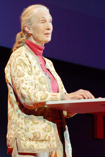 Jane Goodall