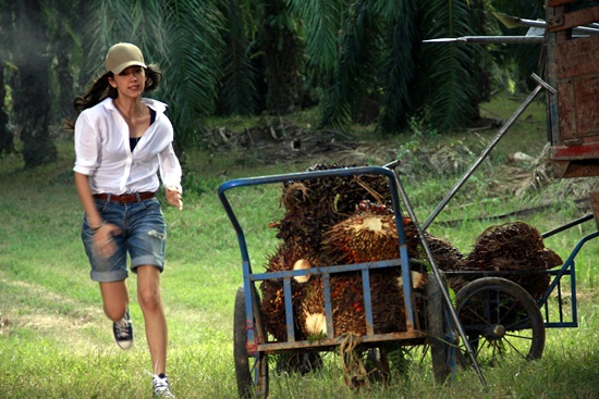 เรื่องย่อละคร ใต้ร่มใบภักดิ์ เรื่องย่อละคร ใต้ร่มใบภักดิ์