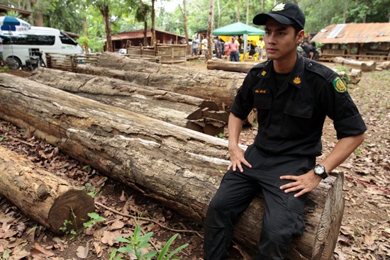 เรื่องย่อแสงดาวกลางใจ