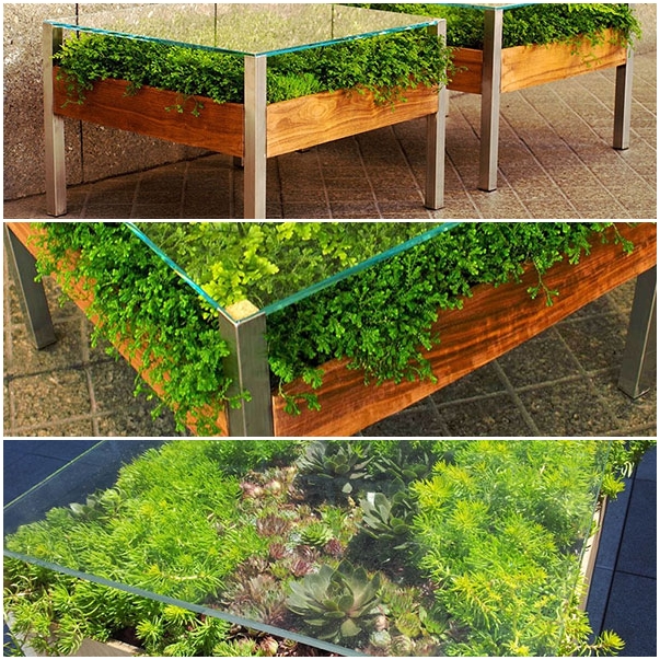 เติมสีเขียวให้บ้าน ด้วยสวนในโต๊ะสุดเก๋