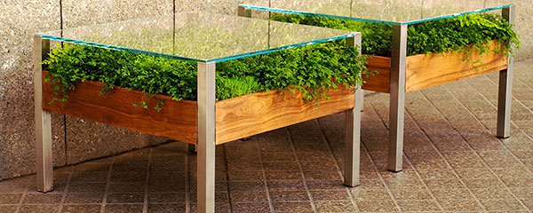 เติมสีเขียวให้บ้าน ด้วยสวนในโต๊ะสุดเก๋