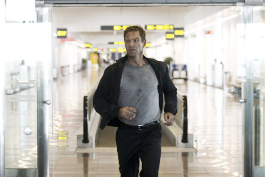 The Expatriate