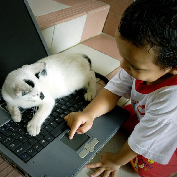  พฤติกรรมต่างขั้วสุดฮา ระหว่างโฮ่งกับเหมียว