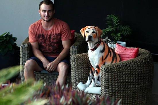 ชายอังกฤษย้อมหมาให้กลายเป็นเสือ เซอร์ไพรส์วันเกิดหลาน