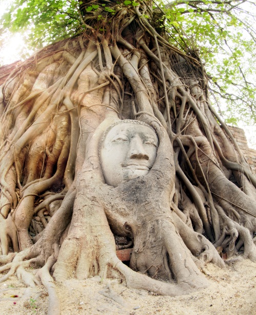  10 จังหวัดน่าเที่ยวในประเทศไทย ตามมุมมองของชาวต่างชาติ