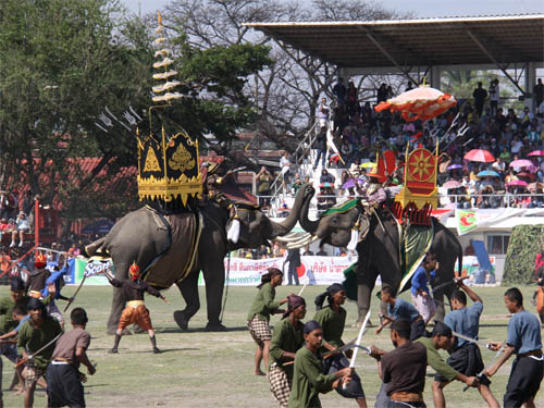 ชวนเที่ยว งานช้างสุรินทร์ 2555 ชมโชว์ช้างสุดอลังการ