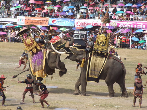 ชวนเที่ยว งานช้างสุรินทร์ 2555 ชมโชว์ช้างสุดอลังการ