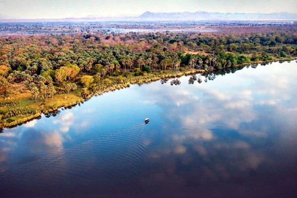 ป่าตะวันออก แอโฟรมอนตาเน (Eastern Afromontane)