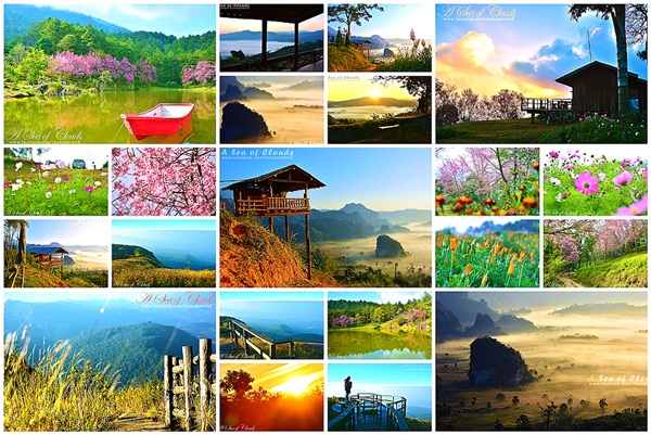 3 ความงามแห่งขุนเขา ภูลังกา ดอยแม่ตะมาน ดอยอินทนนท์ 3 ความงามแห่งขุนเขา ภูลังกา ดอยแม่ตะมาน ดอยอินทนนท์