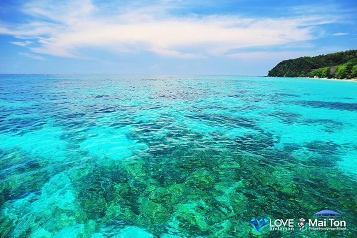  เที่ยวเกาะไม้ท่อน ภูเก็ต สัมผัสเสน่ห์มัลดีฟส์เมืองไทย