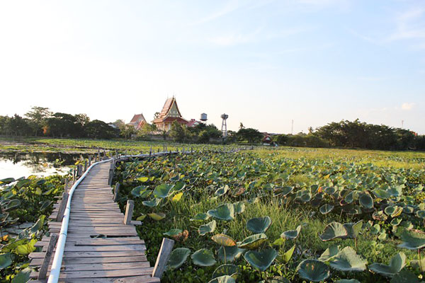  รวมสะพานสวย ๆ ทั่วไทย อันซีนแดนสยามที่ห้ามพลาด