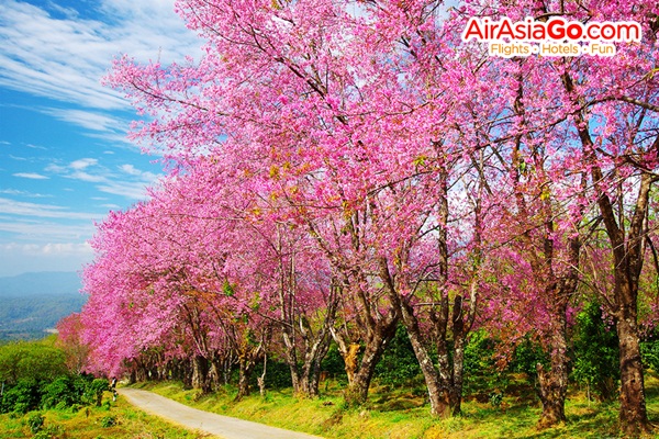  AirAsiaGo จัดเต็มโปรโมชั่นสุดช็อก โรงแรมลดกระหน่ำนาทีสุดท้าย