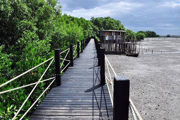  รวมสะพานสวย ๆ ทั่วไทย อันซีนแดนสยามที่ห้ามพลาด