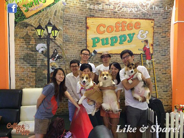 รวมคาเฟ่น้องหมา เอาใจคนรักมะหมาแสนน่ารัก