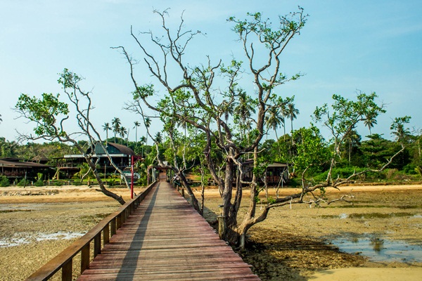 4 วัน 3 คืน เที่ยวเกาะช้าง เกาะหมาก เกาะขาม ในงบ 3,500