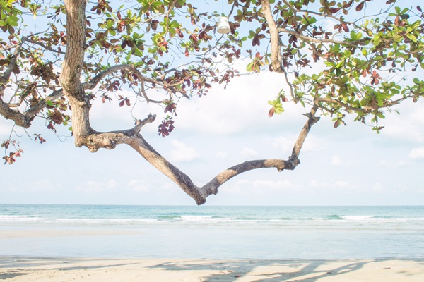 4 วัน 3 คืน เที่ยวเกาะช้าง เกาะหมาก เกาะขาม ในงบ 3,500