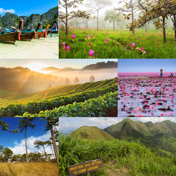 ท่องเที่ยวไทยใน 1 ปี กับ 12 สถานที่ห้ามพลาด