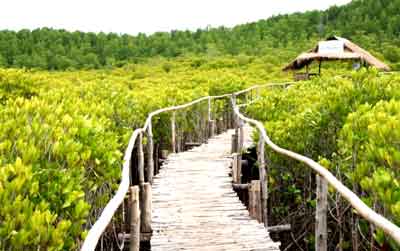  รวมสะพานสวย ๆ ทั่วไทย อันซีนแดนสยามที่ห้ามพลาด