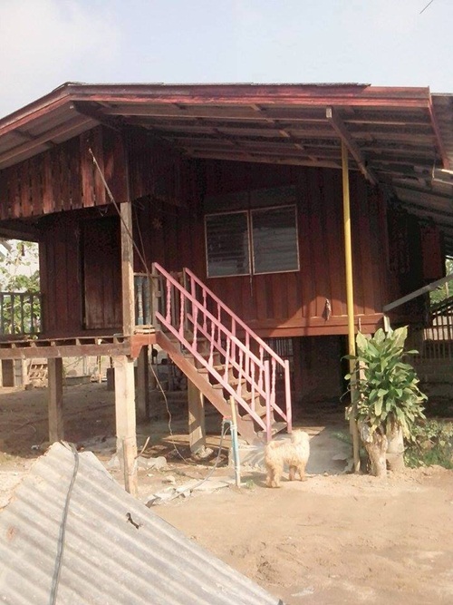 สร้างบ้านใหม่หลังน้อยให้ตายาย เป็นบ้านชั้นเดียวแสนอบอุ่น