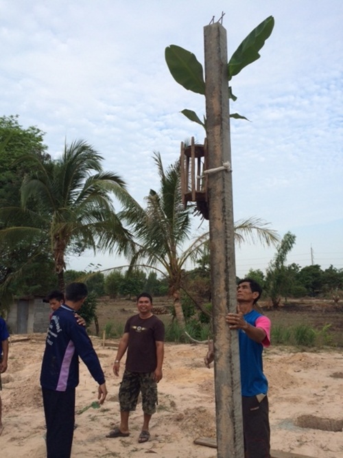 ปลูกบ้านชั้นเดียวหลังเล็ก งบ 5 แสน ด้วยแปลนจาก กรมโยธาฯ