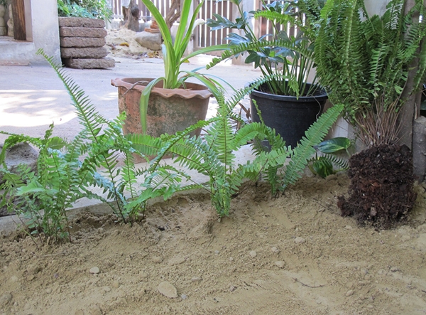 เปลี่ยนพื้นที่รก ๆ ริมรั้ว เป็นมุมจิบกาแฟชิล ๆ