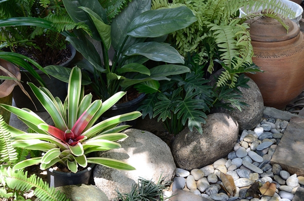 เปลี่ยนพื้นที่รก ๆ ริมรั้ว เป็นมุมจิบกาแฟชิล ๆ