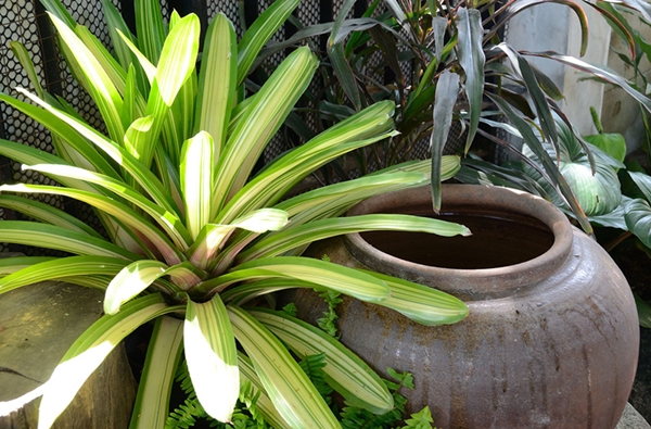 เปลี่ยนพื้นที่รก ๆ ริมรั้ว เป็นมุมจิบกาแฟชิล ๆ